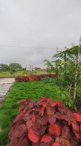 Image of 1060 Sq.ft Residential Plot / Land for sale in Bhilai Marshalling Yard, Charoda for Rs. 1802000