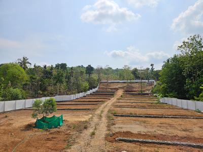 Image of 2178 Sq.ft Residential Plot / Land for sale in Kolazhy, Thrissur for Rs. 7000000