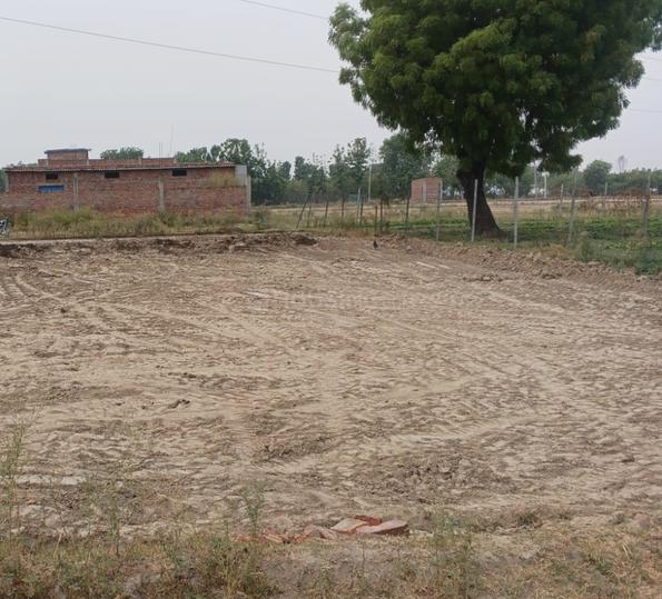 Sathawan Plot View 1