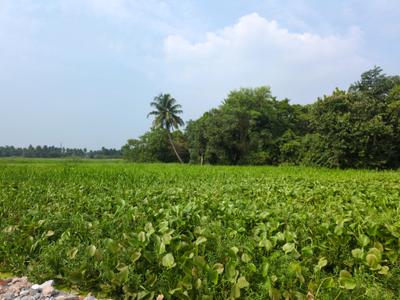Image of 728 Sq.ft Residential Plot / Land for sale in Wander Valley, Joka, Kolkata for Rs. 261111