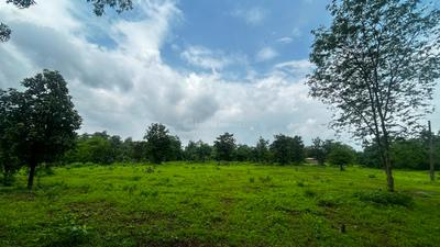 Image of 119790 Sq.ft Residential Plot / Land for sale in Murbad, Thane for Rs. 110000