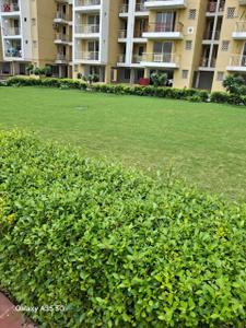 Image of 924 Sq.ft 3 BHK Apartment / Flat for rent in Parker White Lily Residency, Sector 27, Sonipat for Rs. 28000