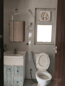 Common Bathroom Image of 1870 Sq.ft 3.5 BHK Apartment / Flat for sale in Hawelia Valenova Park, Noida Extension Greater Noida for Rs. 18100000