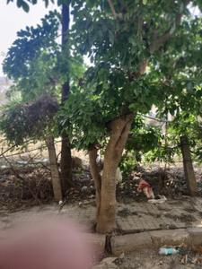 Image of 1200 Sq.ft Residential Plot / Land for sale in Virupakshapura, Bengaluru for Rs. 18000000