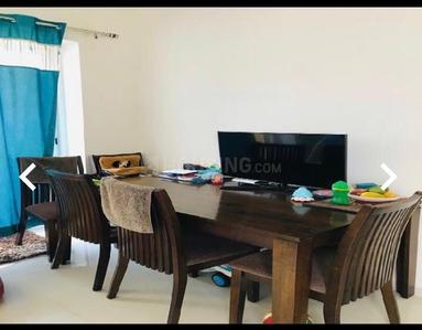 Hall Image of 1507 Sq.ft 3 BHK Apartment / Flat for rent in Wagholi Pune for Rs. 28000
