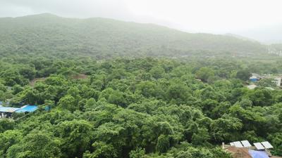 Image of 1200 Sq.ft 3 BHK Apartment / Flat for sale in Godrej Emerald, Thane West, Thane for Rs. 13500000