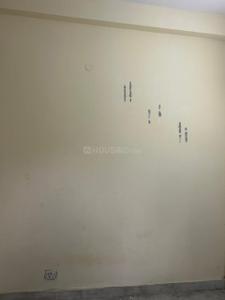 Hall Image of 560 Sq.ft 1 BHK Independent House for rent in Alpha II Greater Noida for Rs. 12000