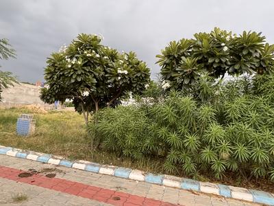 Q Block Plot View 3