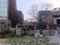 Phi III Greater Noida Plot View 2