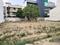 Huda Colony Plot View 2