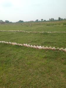 Image of 1200 Sq.ft Residential Plot / Land for sale in Fraser Road Area, Patna for Rs. 900000