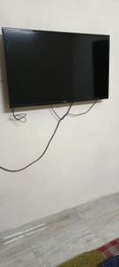 Hall Image of 650 Sq.ft 1 BHK Apartment / Flat for rent in HP Ram Flats, Velachery Chennai for Rs. 16000