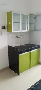 Kitchen Image of 651 Sq.ft 1 BHK Apartment / Flat for rent in Undri Pune for Rs. 14000