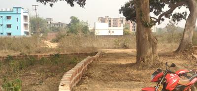 Image of 2000 Sq.ft Residential Plot / Land for sale in Andharua, Bhubaneswar for Rs. 6600000
