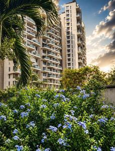 2.5 BHK Apartment