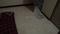 Shiv Kripa Mulund West Bedroom Two 2