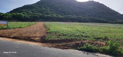 Karamadai Plot View 2