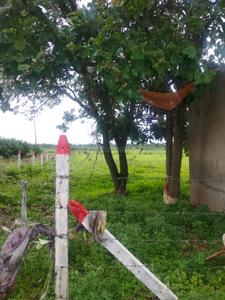 Image of 100000 Sq.ft Residential Plot / Land for sale in Saswad, Pune for Rs. 70000000