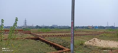 Patrapoda Plot View 3