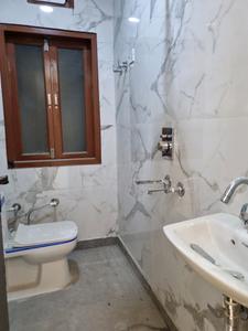 Common Bathroom Image of 900 Sq.ft 3 BHK Apartment / Flat for sale in Nawada New Delhi for Rs. 7000000
