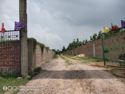 Image of 1300 Sq.ft Residential Plot / Land for sale in Chirora, Patna for Rs. 2700000