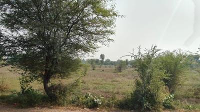 Image of 1377 Sq.ft Residential Plot / Land for sale in Jagatpura, Jaipur for Rs. 10500000