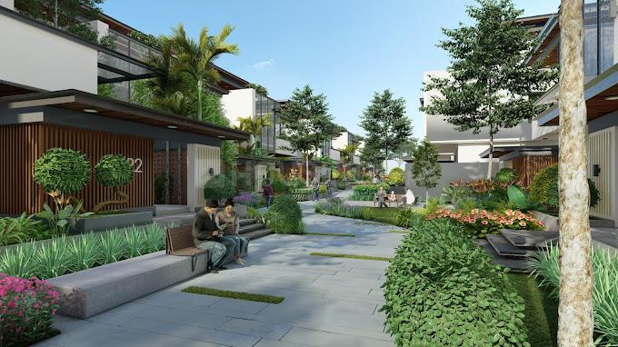 Organo Kandawada Main Image 1