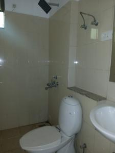 Common Bathroom Image of 1056 Sq.ft 2 BHK Builder Floor for rent in Vatika Primrose Floors, Sector 82 Gurgaon for Rs. 24500