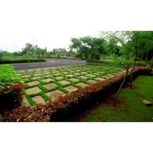 Vk Infra Developers Plot View 3