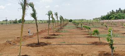 Image of 13000 Sq.ft Residential Plot / Land for sale in Konalai, Tiruchirappalli for Rs. 1250000