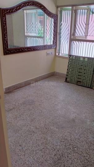 Kotha Pet Main Image 1