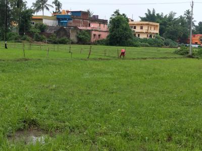 Image of 2000 Sq.ft Residential Plot / Land for sale in Benupur, Bhubaneswar for Rs. 4600000