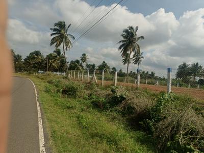 Image of 43600 Sq.ft Residential Plot / Land for sale in Kinathukadavu, Coimbatore for Rs. 20000000