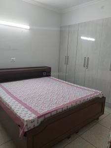 Bedroom Image of 900 Sq.ft 2 BHK Apartment / Flat for rent in Malviya Nagar New Delhi for Rs. 50000