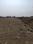 Sashte Main Image 1