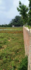 Bihta Plot View 3