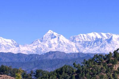 Image of 2160 Sq.ft Residential Plot / Land for sale in Mukteshwar, Nainital for Rs. 2500000