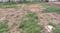 Chittupur Main Image 1
