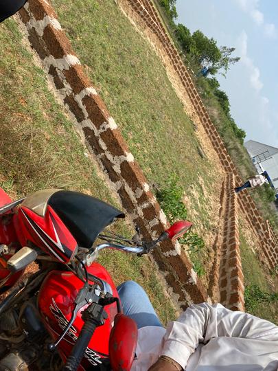 Pitapalli Main Image 1