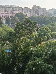 Balcony Image of 1080 Sq.ft 2 BHK Apartment / Flat for rent in Raviraj Yellow Blossoms, Ghorpadi Pune for Rs. 33000