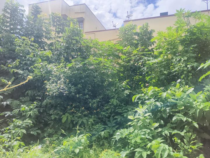 Kaval Bairasandra Main Image 1