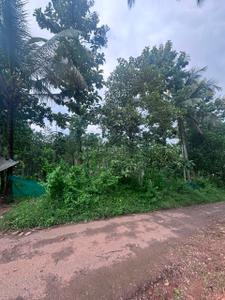 Image of 18700 Sq.ft Residential Plot / Land for sale in Ambalavayal, Wayanad for Rs. 145000