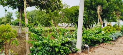 Image of 931 Sq.ft 2 BHK Farm House for sale in Shankarpally, Hyderabad for Rs. 16022081