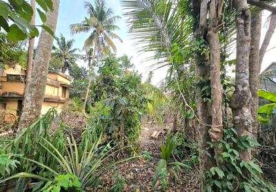 Image of 4350 Sq.ft Residential Plot / Land for sale in North Parvur, Kochi for Rs. 10000000