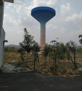 Dodda Aalada Mara Plot View 3
