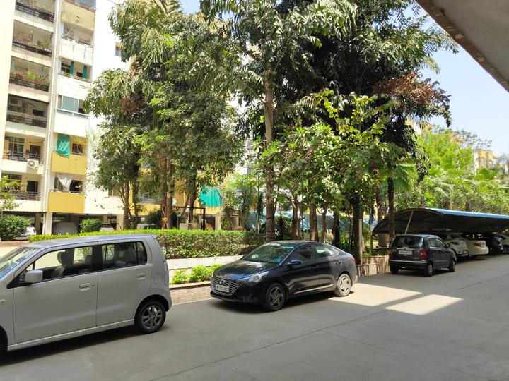 Fortune Signature Main Image 1