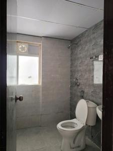 Common Bathroom Image of 1115 Sq.ft 2 BHK Apartment / Flat for rent in Amrapali Dream Valley 2, Noida Extension Greater Noida for Rs. 20100