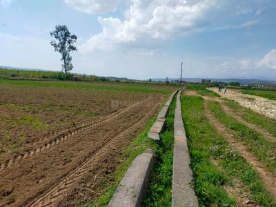 Anand vihar  Plot View 3