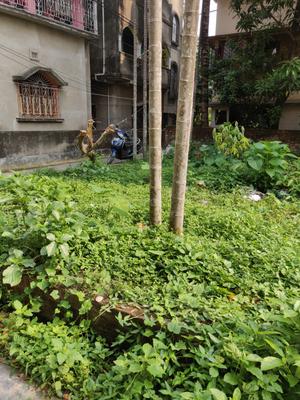 Image of 1440 Sq.ft Residential Plot / Land for sale in Santragachi, Howrah for Rs. 5400000