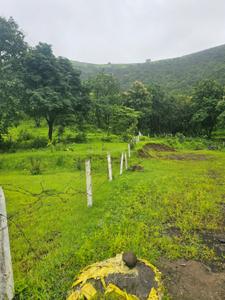 Image of 78000 Sq.ft Residential Plot / Land for sale in Varasgaon, Pune for Rs. 23400000